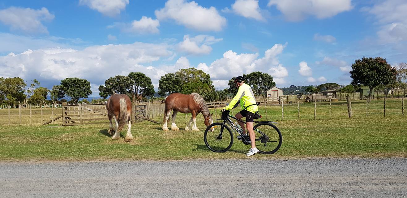 26841108_1812116262142527_8695767476069102061_o